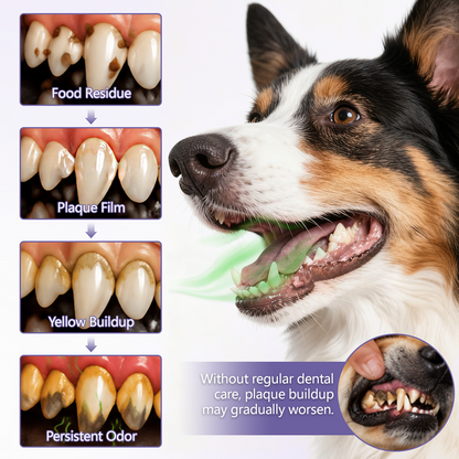 Coredew® PetOral DentaBrite Oral Gel
