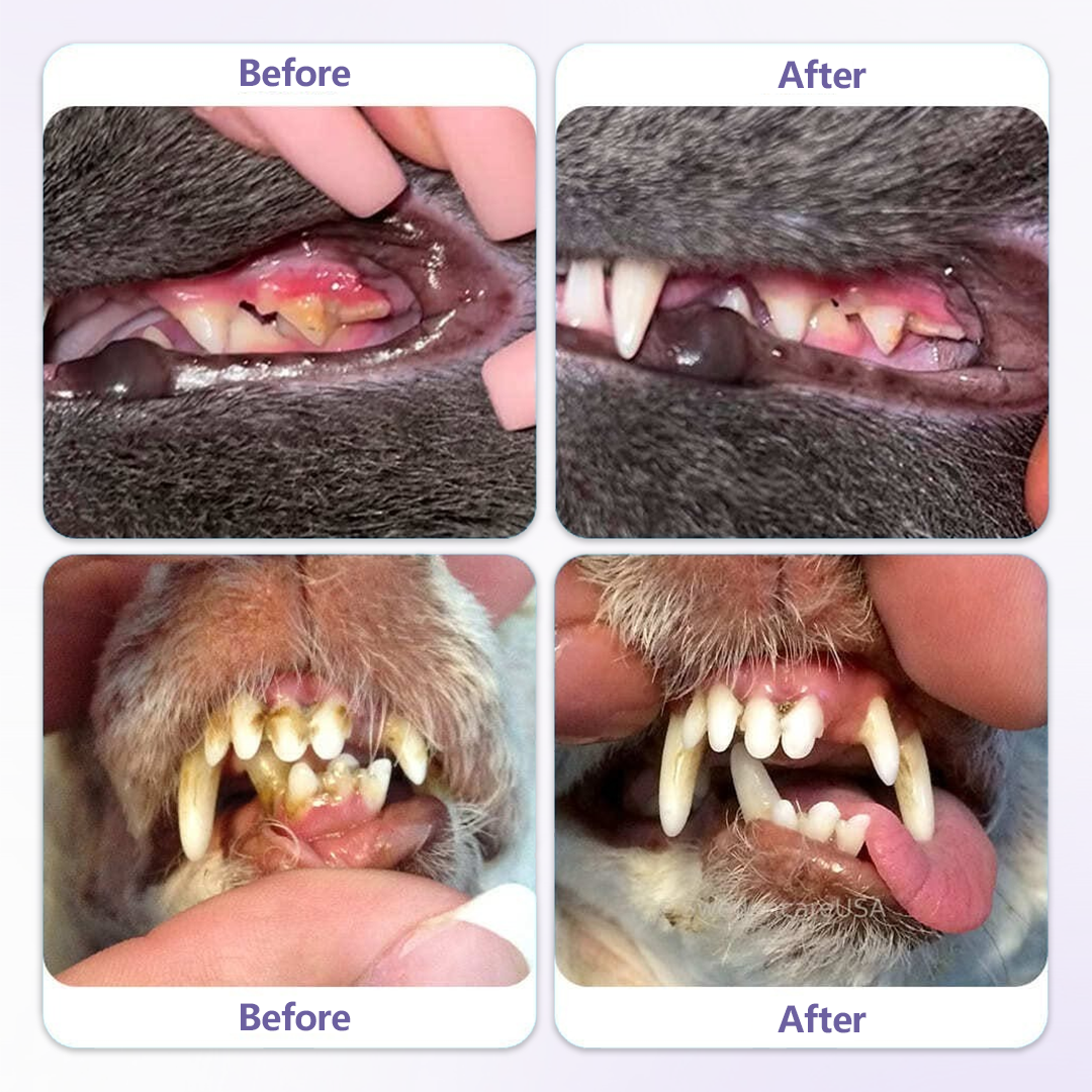 Coredew® PetOral DentaBrite Oral Gel